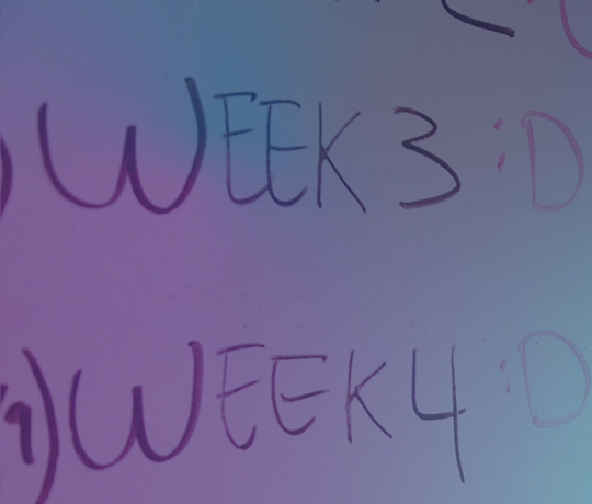 Weekly plan written on whiteboard