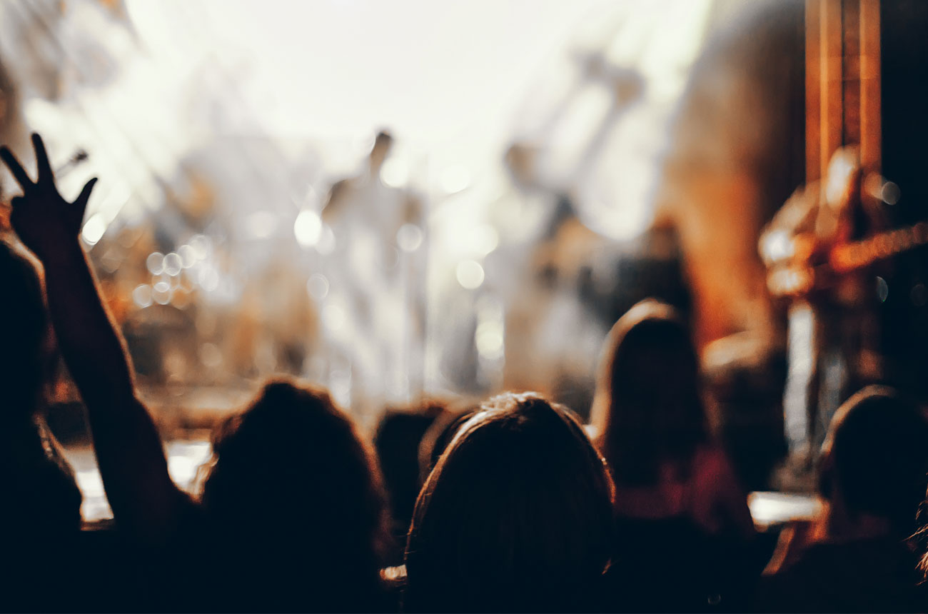 Concert crowd shown from behind in silhouette, with raised hands visible against bright stage lights creating a bokeh effect in warm tones