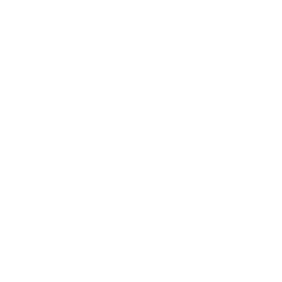 A.G. Bell